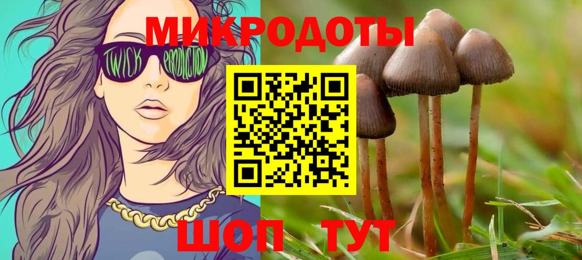 Псилоцибиновые грибы GOLDEN TEACHER  Псилоцибиновые грибы мицелий  Урюпинск  Вход с VPN 